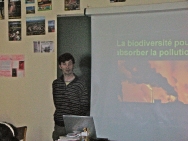 Elementerre1