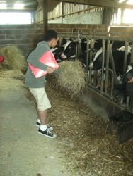 Ferme1-0342a