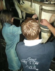 Ferme2-0361a