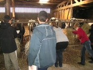Ferme4-0346a