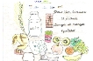 Projet1